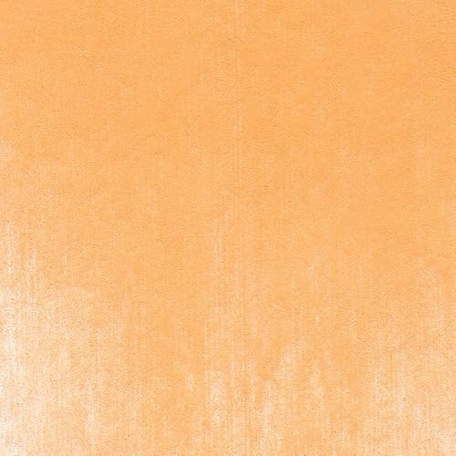 Miniatura 195 de PanPastel - Pastel de artista ultrasuave, tono verde amarillo brillante Sombra verde amarillo brillante,Licuadora incolora,Pantalla amarilla