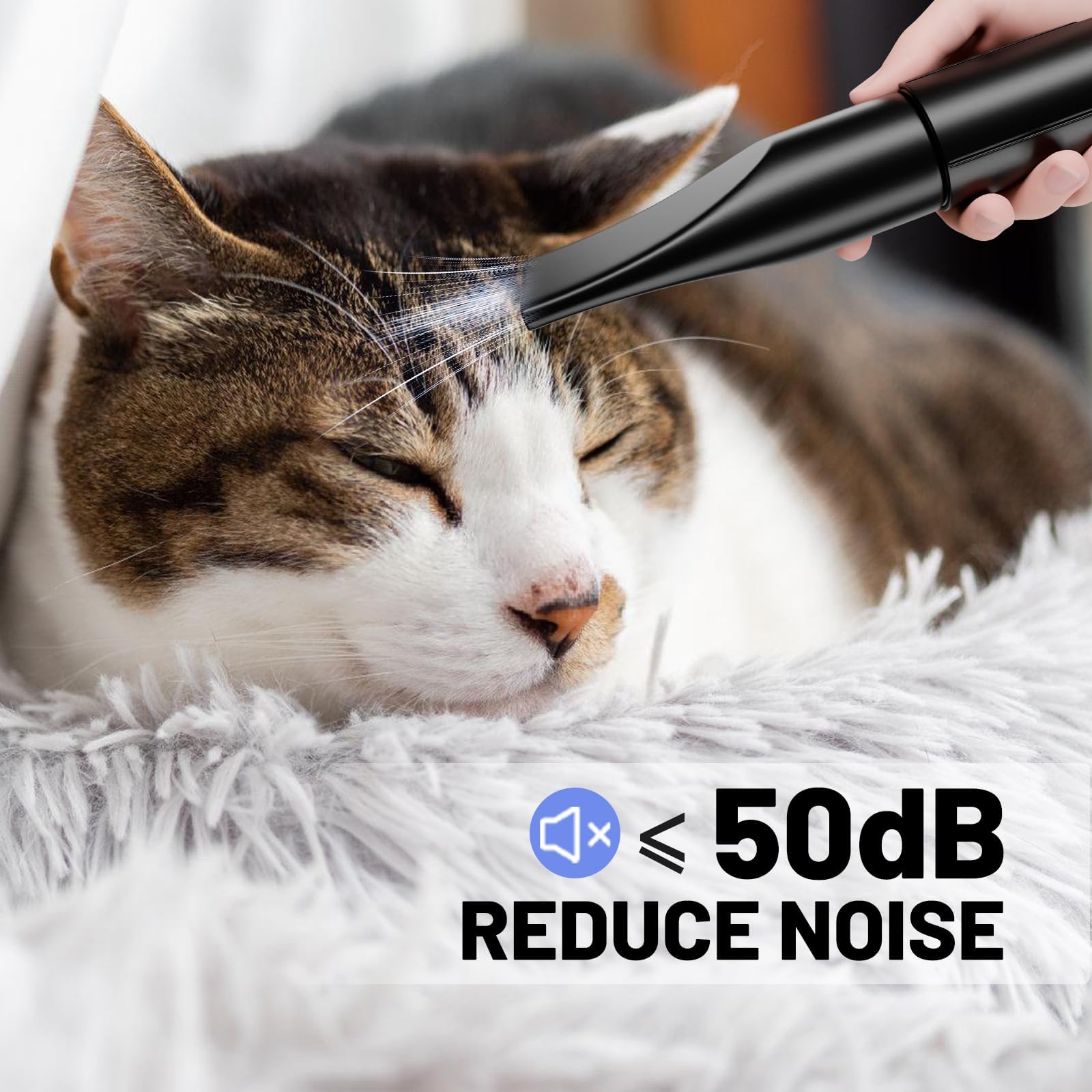 Blanlody Asciugacapelli per Cani Blower Molto Silenzioso, 5,2 CV/3800 W, velocità Regolabile, Ventilatore per la Cura del Cane con 4 Diversi ugelli, Tubo Elastico