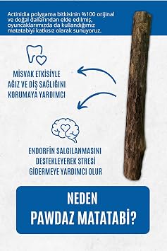 pawdaz Matatabi - Stick Diş Temizlemeye Ve Stres Gidermeye Yardımcı Doğal Oyuncak