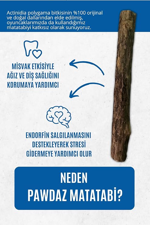 pawdaz Matatabi - Stick Diş Temizlemeye Ve Stres Gidermeye Yardımcı Doğal Oyuncak