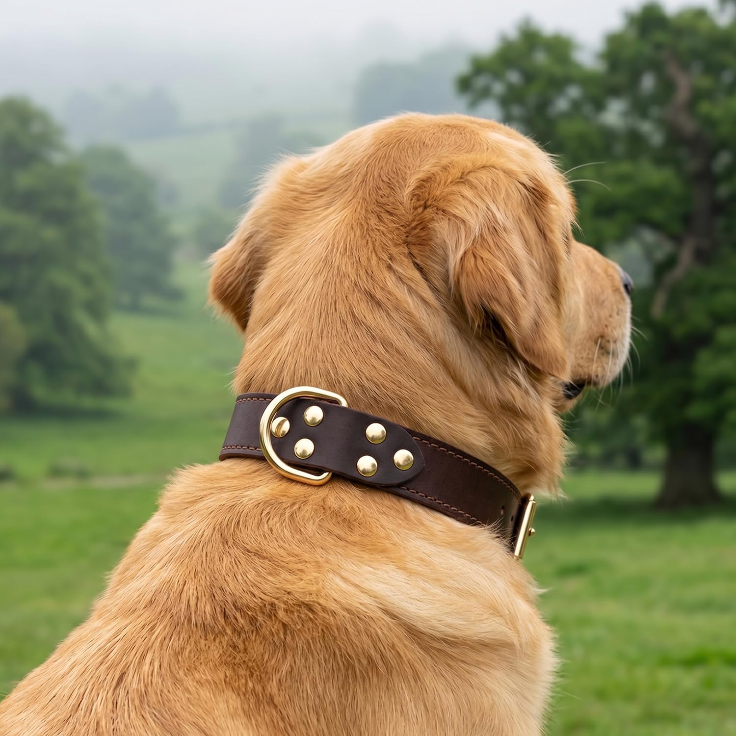 Genuine Leather Dog Collar with Single-Line Double D-Ring for Reduced Pulling, Adjustable Soft Training Collar for Medium Large Dogs Daily Walking, Dark Brown, M