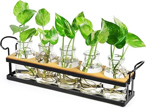 Plant Propagation Stations with Metal Stand, Tabletop Plant Terrarium for Propagating Hydroponic, Retro Glass Planter Flower Vase Home Kitchen Office Decor Gifts, 5 Jars