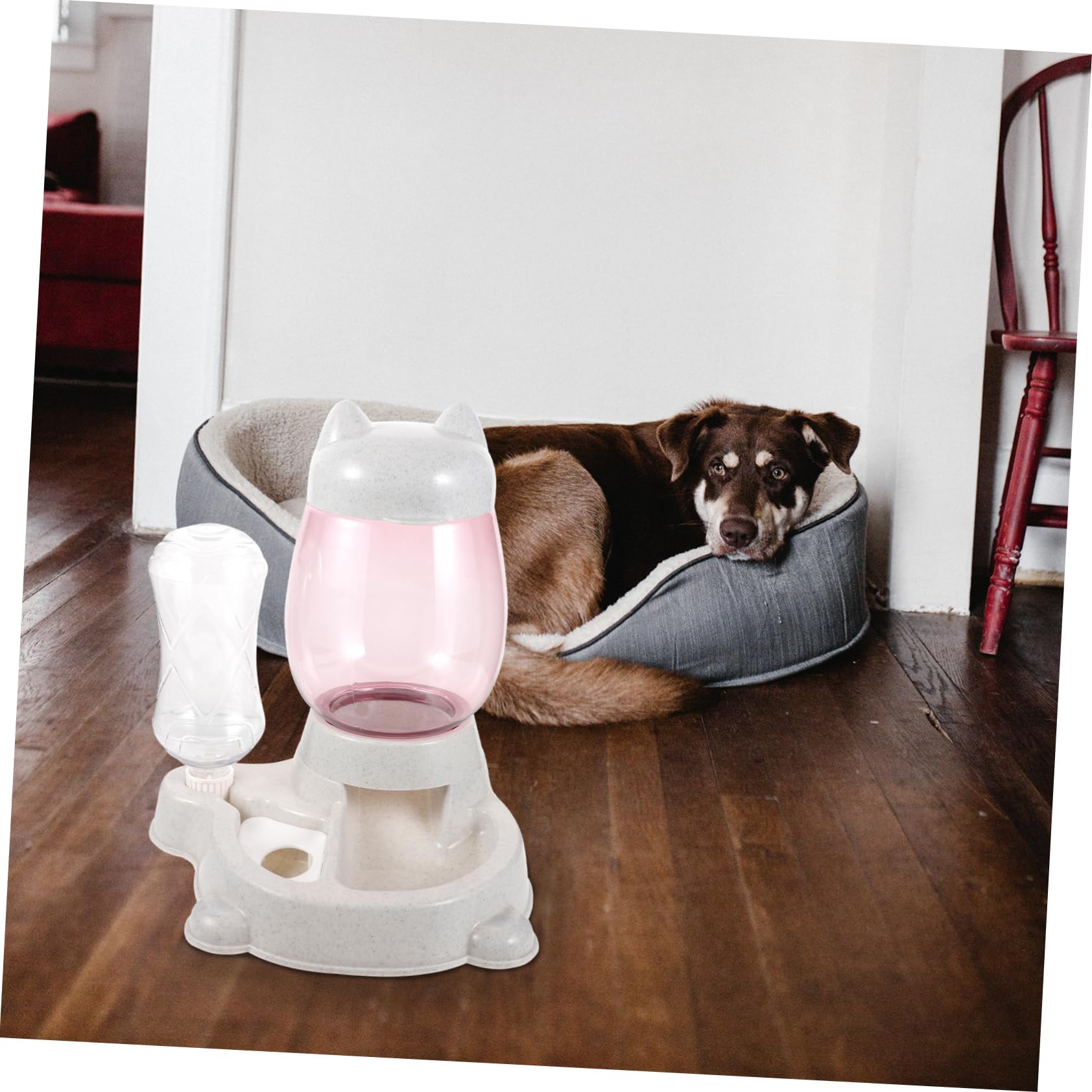 Dispenser Automatico per Alimenti per Animali, Tipo a Secchio | Pp Leggero, Uso Semplice, per Gatto e Pet, Soluzione Indoor Ciotola Integrata
