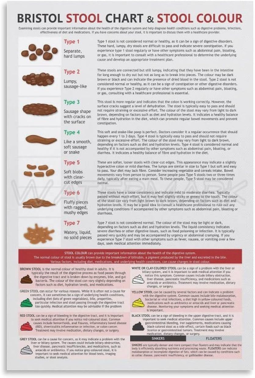 Amazon.com: ONNAT Bristol Stool Chart Poster,stool Health Poster Canvas