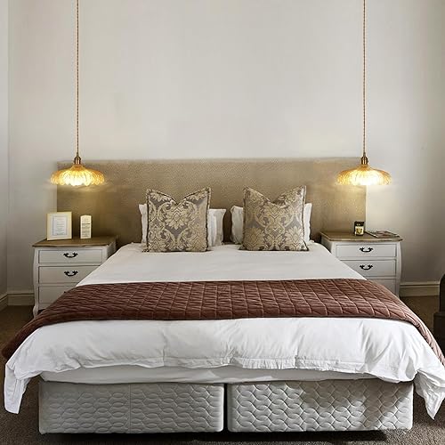 Miniatura 8 de Lámpara colgante enchufable, iluminación colgante de vidrio transparente vintage, luz colgante con cable de enchufe de 16.4 pies para cocina,