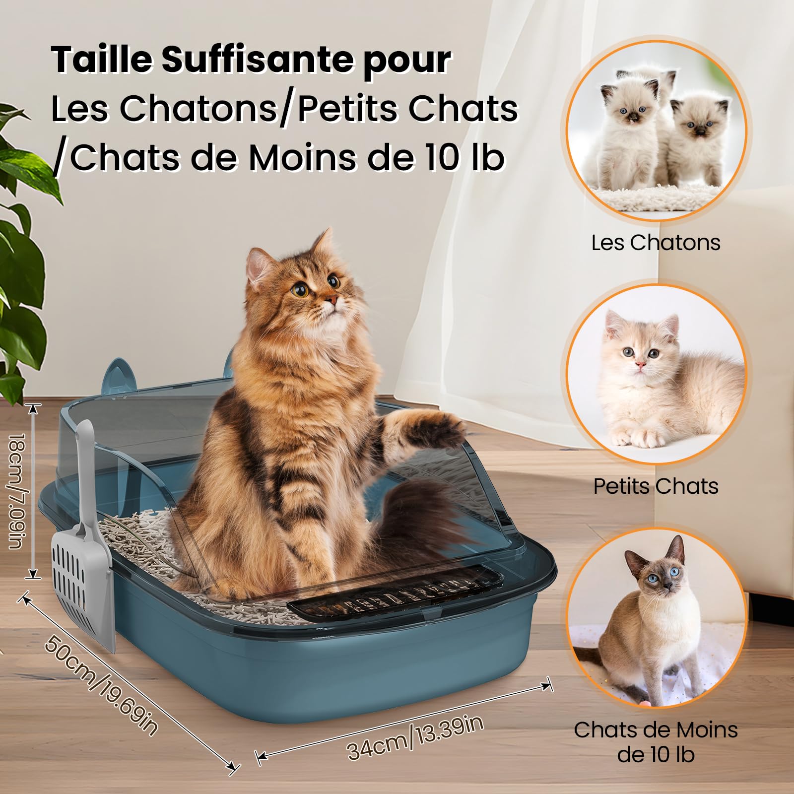 Baoblaze Caisse de Litière pour Chat Adulte, Chaton et Deux Chats Grande Arbre