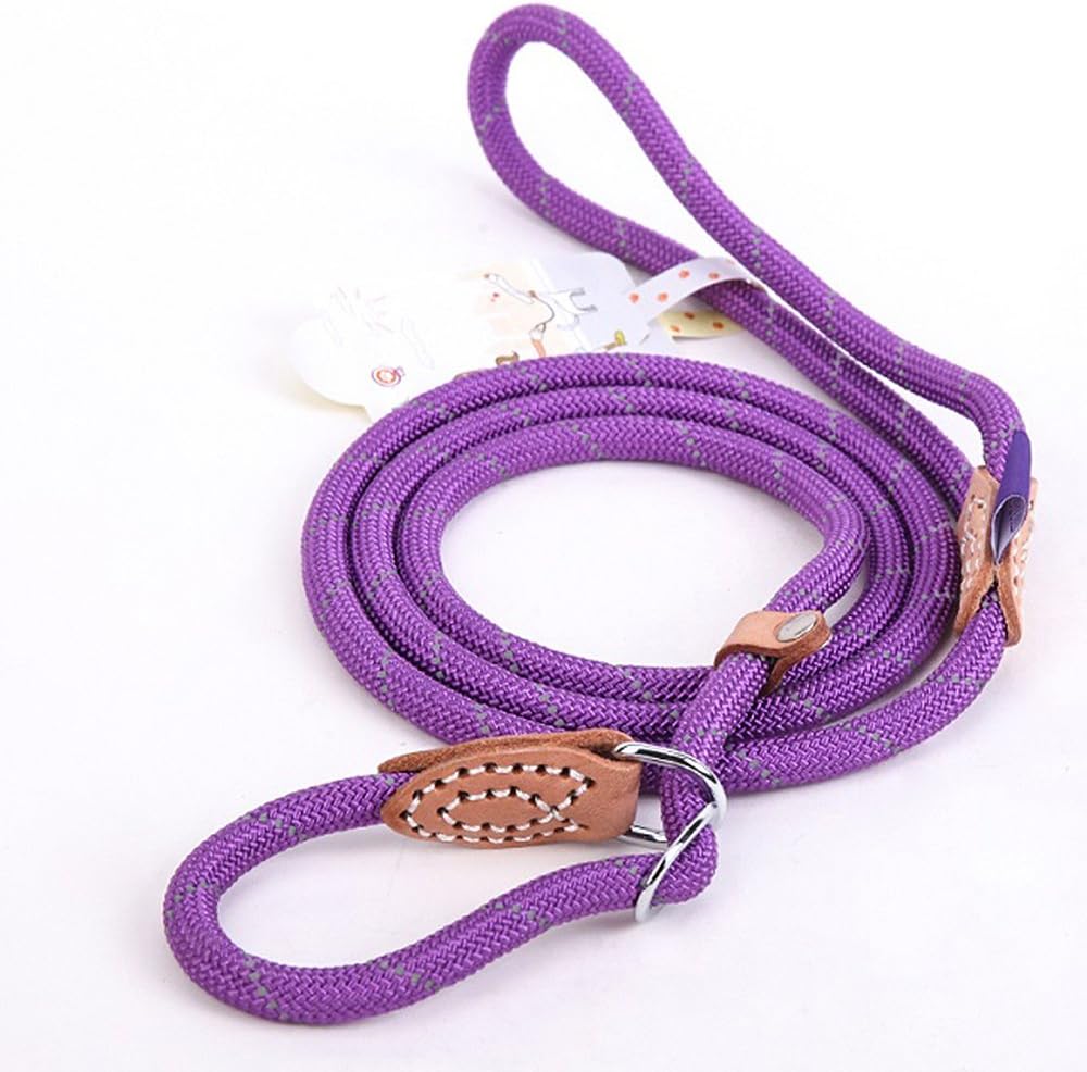 Coolrunner Pet Dog Slip Leash Slip Training Leash Lead Collar for Medium Large Dogs (L 1.4×150cm, Purple)