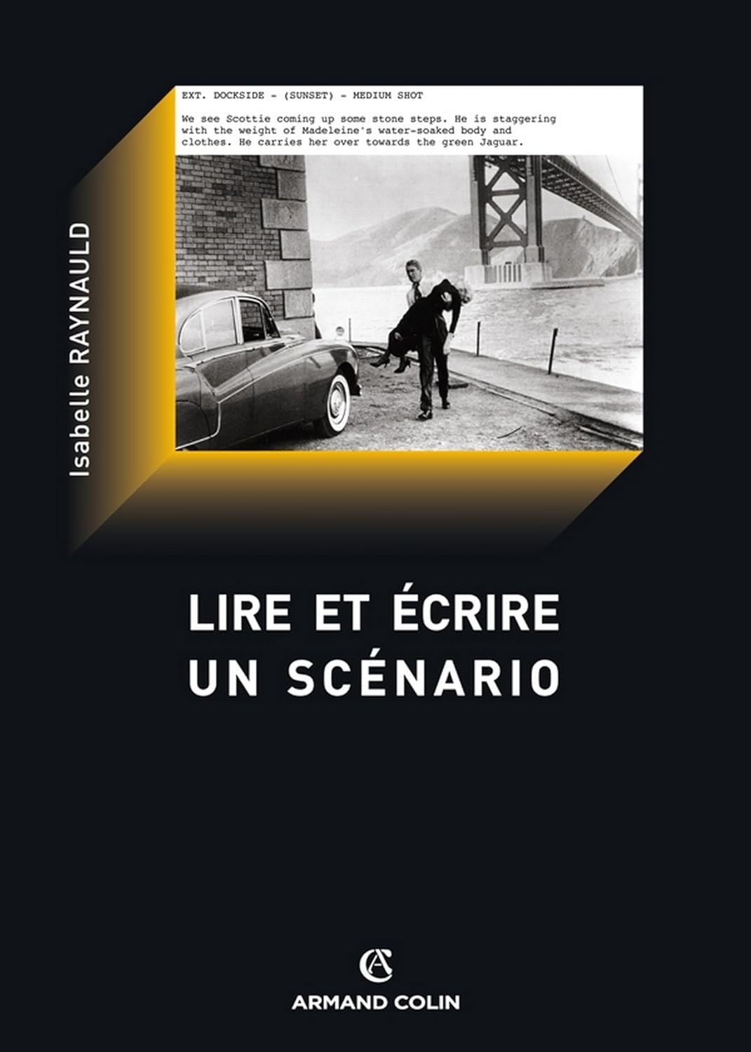 Lire et écrire un scénario Le scénario de film comme texte (Cinéma / Arts Visuels) eBook