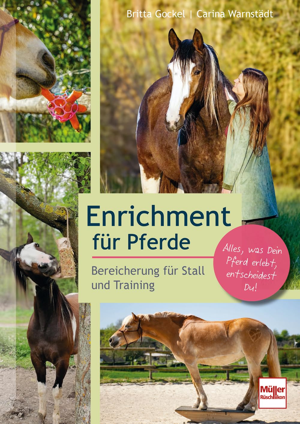 Enrichment für Pferde: Bereicherung für Stall und Training