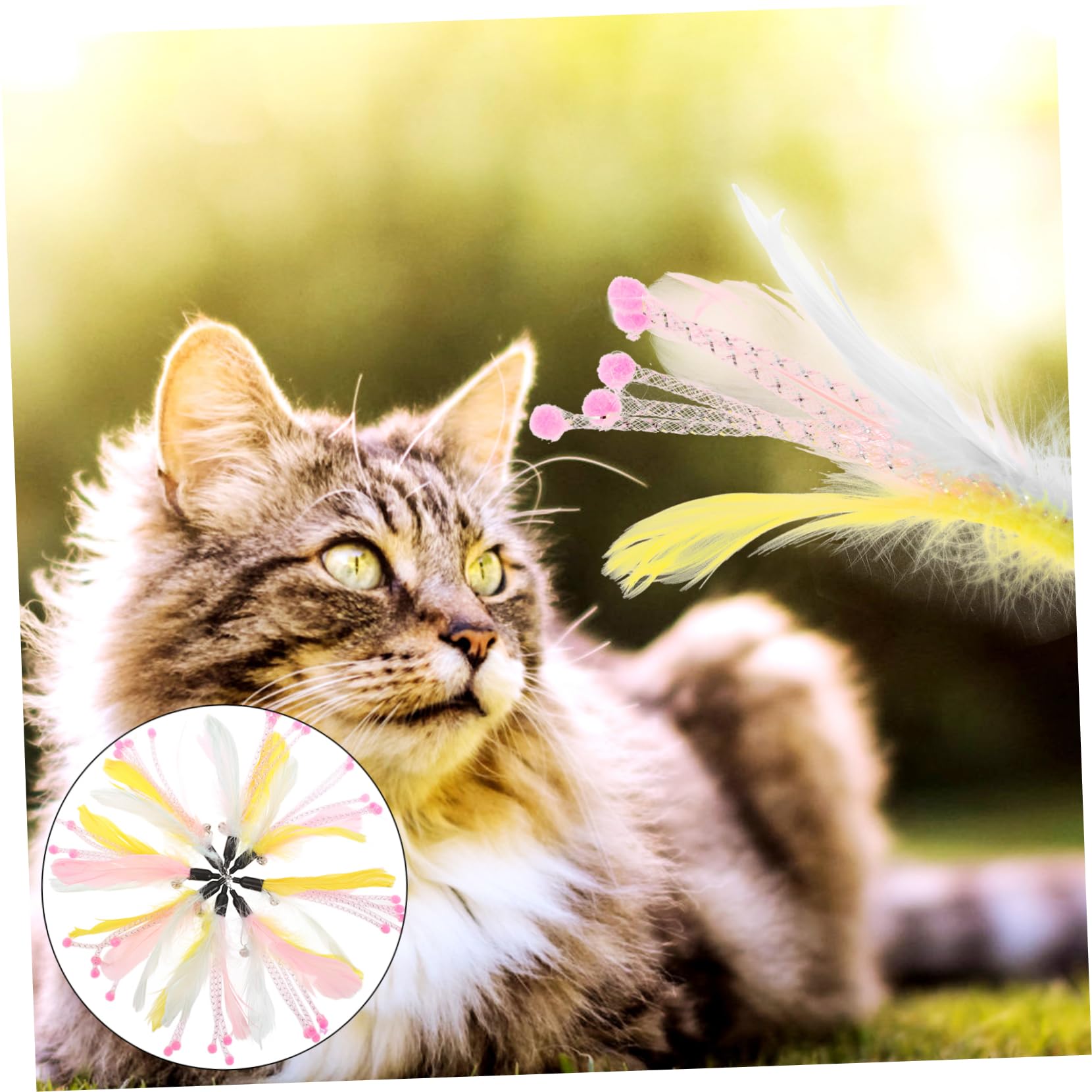 INOOMP 40stücke Katzenspielzeug Teiliges Aus Feder Und Klangspielzeugen Interaktive Spielzeuge Für Drinnen Geeignet Für Katzenalter Fördert Bewegung Und Stressabbau