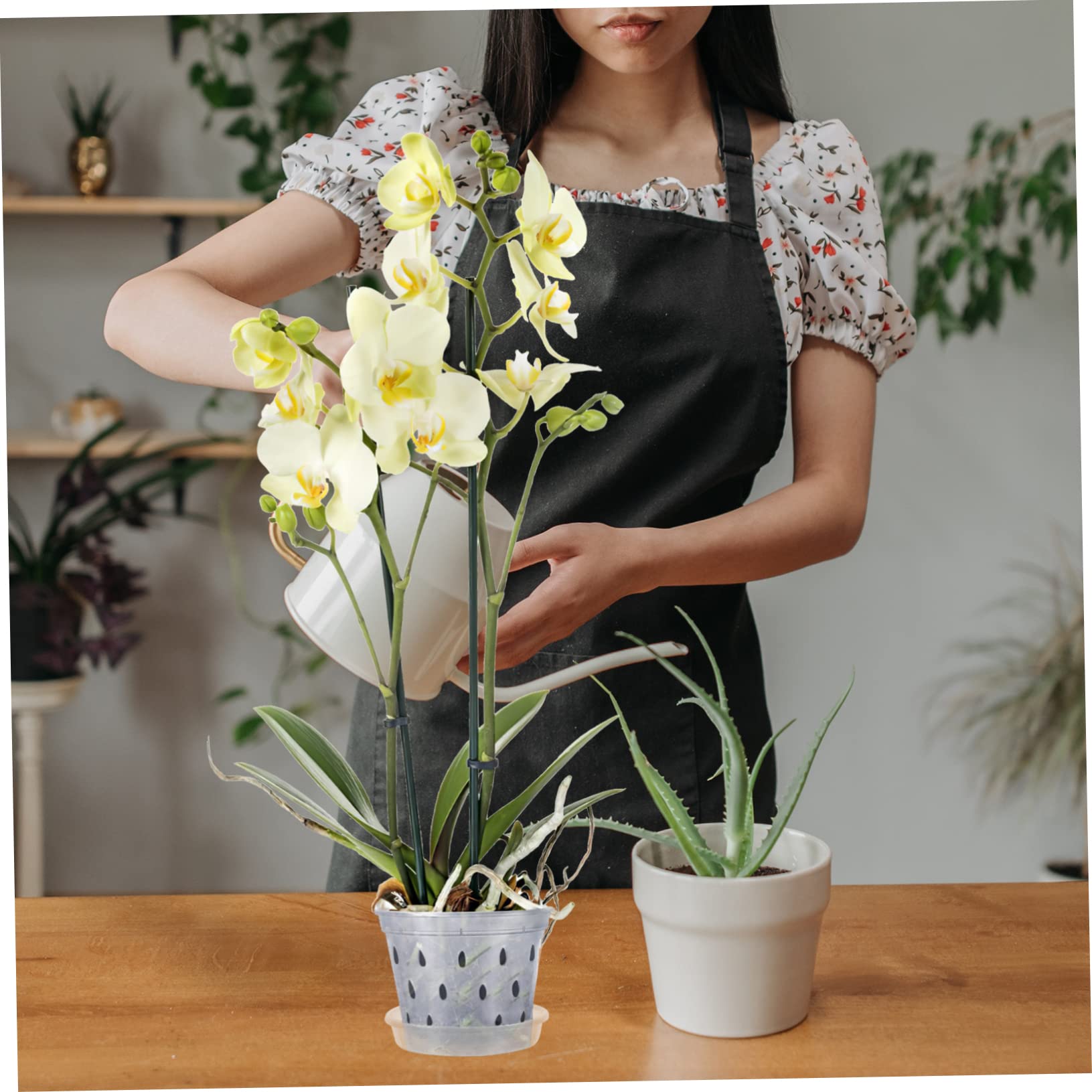 5er Set Transparenter Orchideentöpfe (XL) – Luftige Design, Perfekt Gegen Wurzelfäule