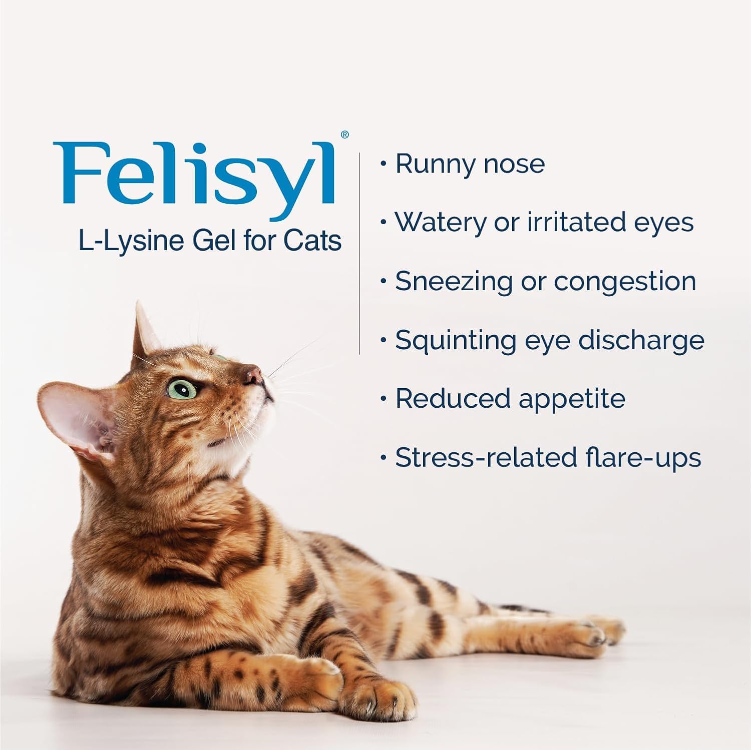 Felisyl L-Lysine Gel for Cats & Kittens (5oz) – Immune System, Respiratory & Eye Health Support. Reduces Sneezing, Runny Nose & Watery Eyes. Daily Salmon-Flavor Supplement – Made in USA (6 Pack) — Amazon image 4