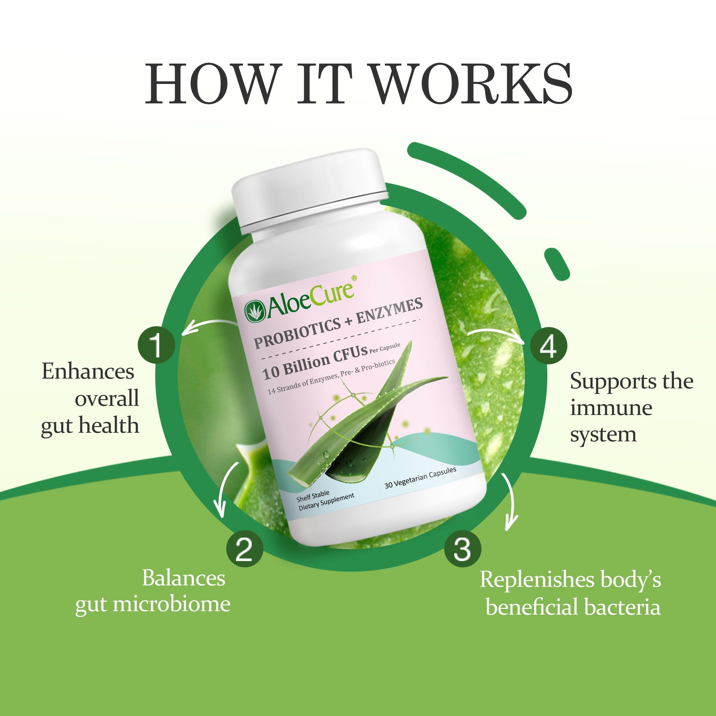 AloeCure Daily Probiotics 10 Billion CFUs + Enzymes & Prebiotics, 30 caps — Amazon image 3