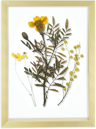 Vista 23 de Frametory, Marco de fotos flotante de 8 x 10 pulgadas, marco de fotos de metal de aluminio negro, cristal real de la parte delantera, para pantallas