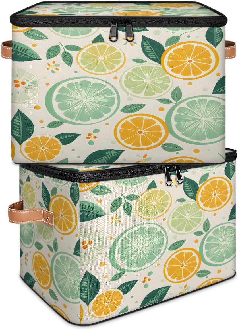 Storage Bin Set of 2 Lemon Lime Storage Basket with Zipper Lid & Handle Foldable Closet Shelf 2 Pack Cloth Organizer Basket Cube Bins Clothes Organizer for Bedroom, Nursery