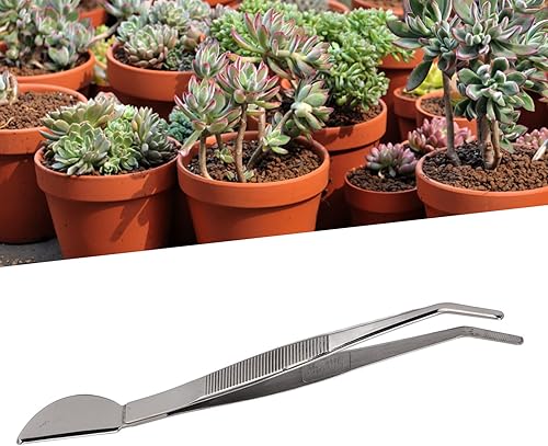 Miniatura 4 de Fdit Pinzas para bonsái, acero inoxidable, pinzas de jardinería, pinzas para plantas, mango largo, dobladas
