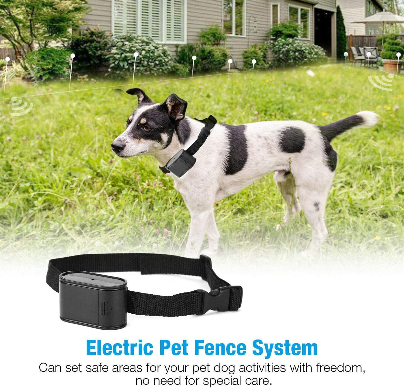 Pet Stop Best Rated Electric Dog Fence Stay Play® Wireless Fence