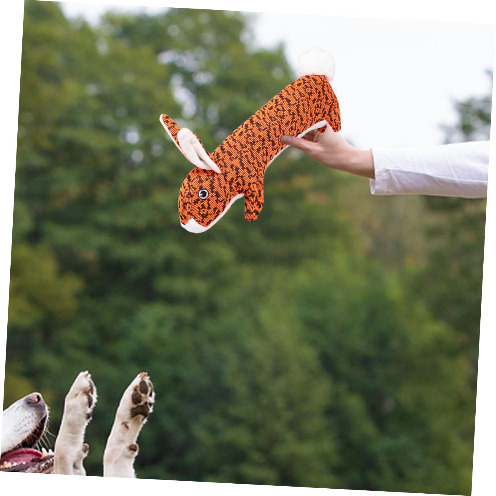 FRCOLOR 3 Stücke Haustier Quietschendes Kauspielzeug Design Hund Quietschendes Spielzeug Für Spielen Pet Supplies Orange Hund Kauspielzeug