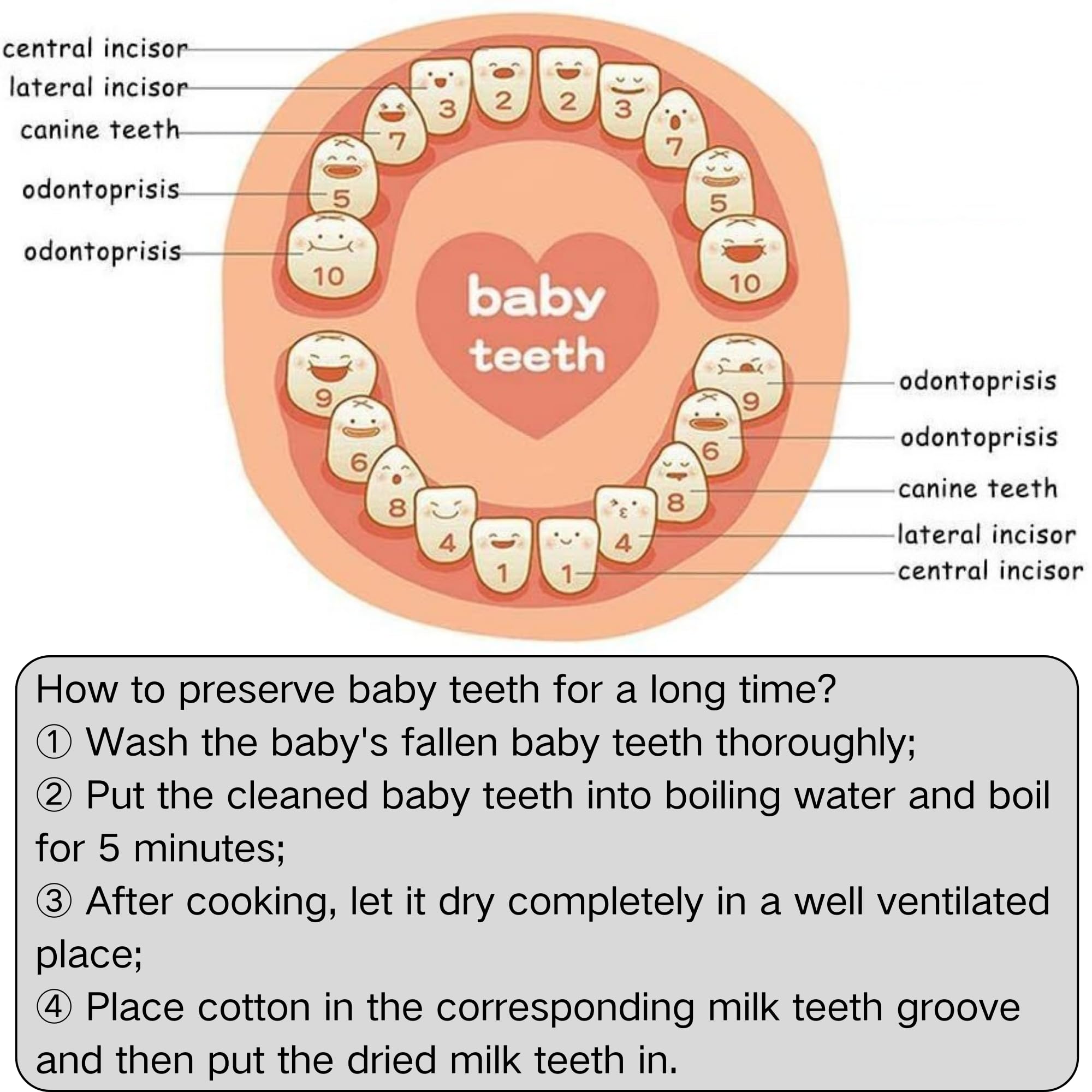 SUQ Baby Tooth Fairy Box Marco de Fotos, Caja de Almacenamiento de Dientes para Niños, Caja de Dientes de Leche para Hombres y Mujeres, Regalo de Nacimiento, Bautismo, Traje de Cumpleaños