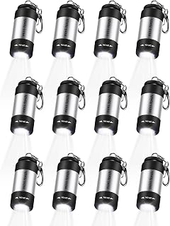 Mudder 12 Pieces Mini Keychain Flashlight Rechargeable Operation Christmas Bulk Plastic Small Torch Flashlight Handheld LED USB Rechargeable Waterproof for Camping Hiking Favor(White Light in Silver)