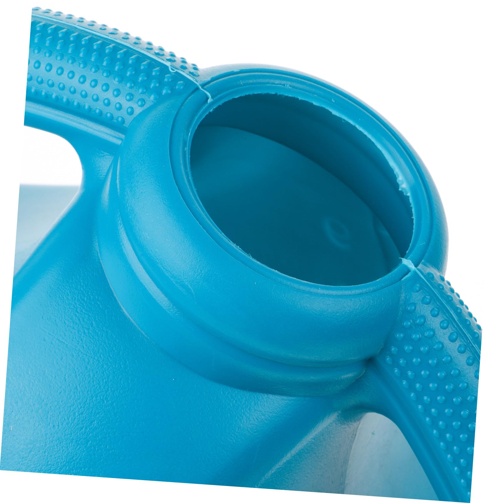 Bouteille d'Arrosage pour Fleurs 10L en Plastique à Long Goulot Bleu