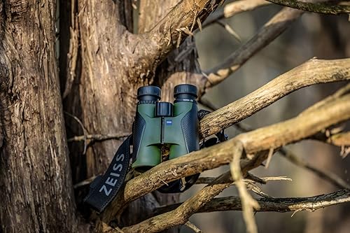 Miniatura 4 de ZEISS Terra ED - Prismáticos compactos, 8 x 42 pulgadas, color verde