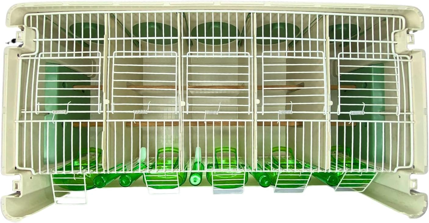 Medium Bird Transport Cage with 5 Divisions by 2GR – Versatile Carrier for Canaries, Finches, Parakeets, Small Parrots, and Small Animals, Easy-to-Clean Design for Stress-Free Travel