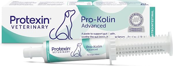 Protexin Veterinary Pro-Kolin Advanced for Dogs Advanced for Dogs, 60 ml - 1
