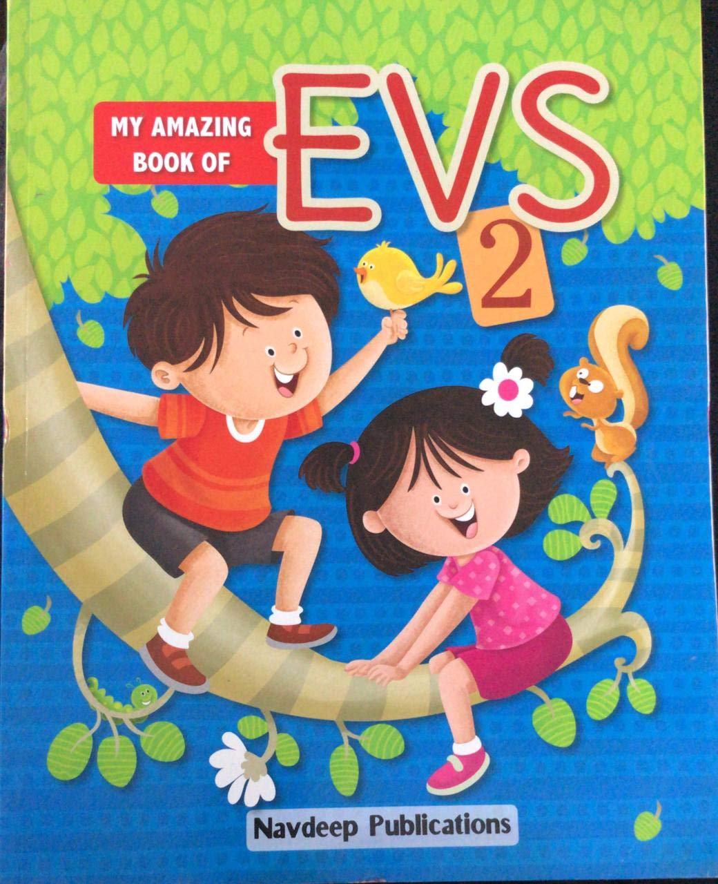 MY AMAZING BOOK OF EVS 2