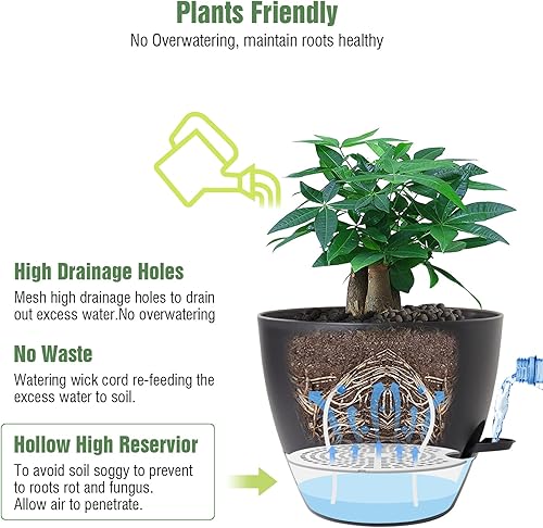 Miniatura 3 de Paquete de 2 macetas grandes de riego automático de 12 pulgadas, macetas de plástico con depósito profundo extraíble de 60 onzas y agujeros de