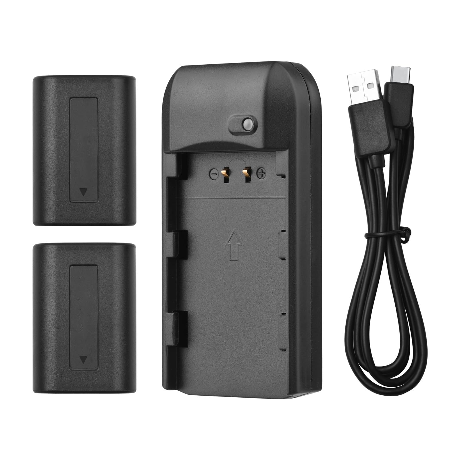 Andoer Chargeur de batterie NP-FV5 avec voyant LED + 2 batteries NP-FV5 Plus 3,7 V 1000 mAh avec câble de charge USB