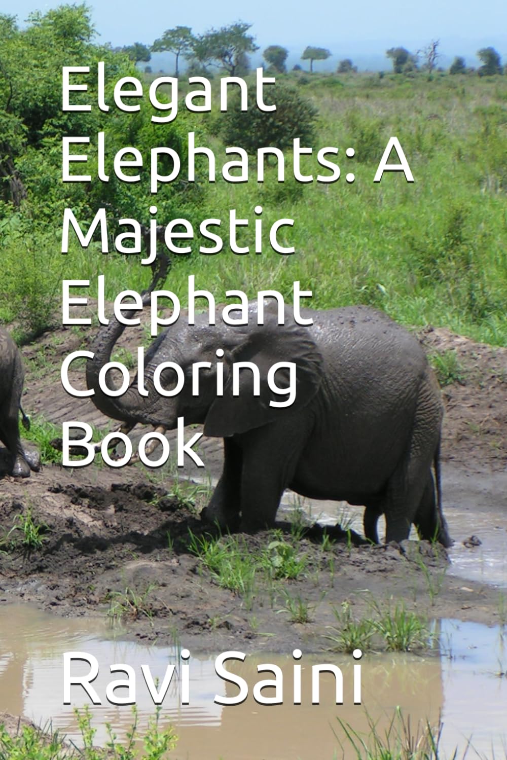 Elegant Elephants: A Majestic Elephant Coloring Book