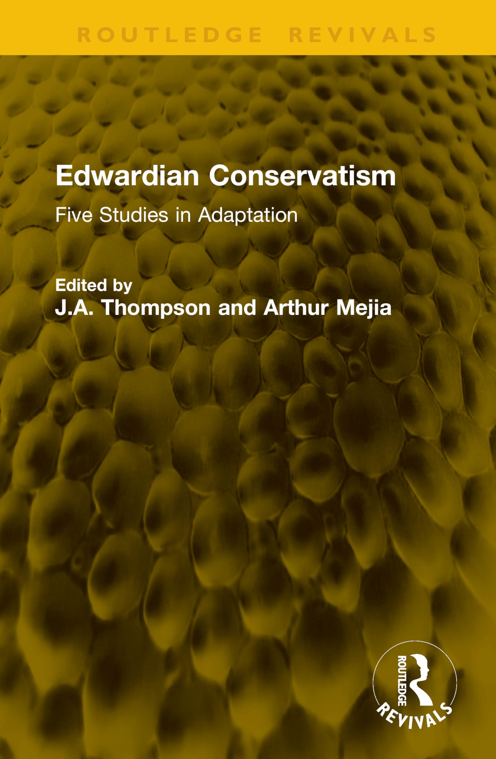 Edwardian Conservatism: Five Studies in Adaptation (Routledge Revivals)