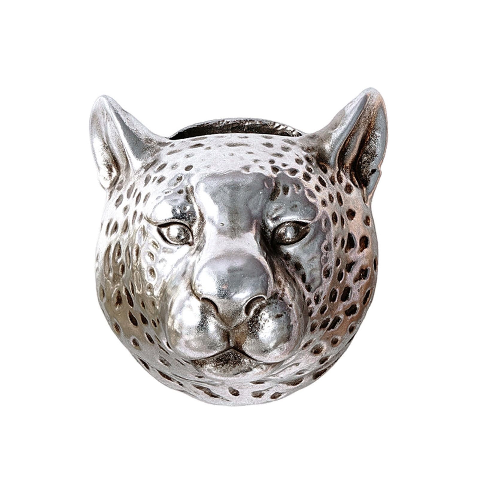 Kaeltsyn Modern Leopard Face Wall Planter Stylish Resin Hangings Flower Pots Decoration Space Saving Wall Flower Container for Living Room Handcrafts Resins Hangings Planter