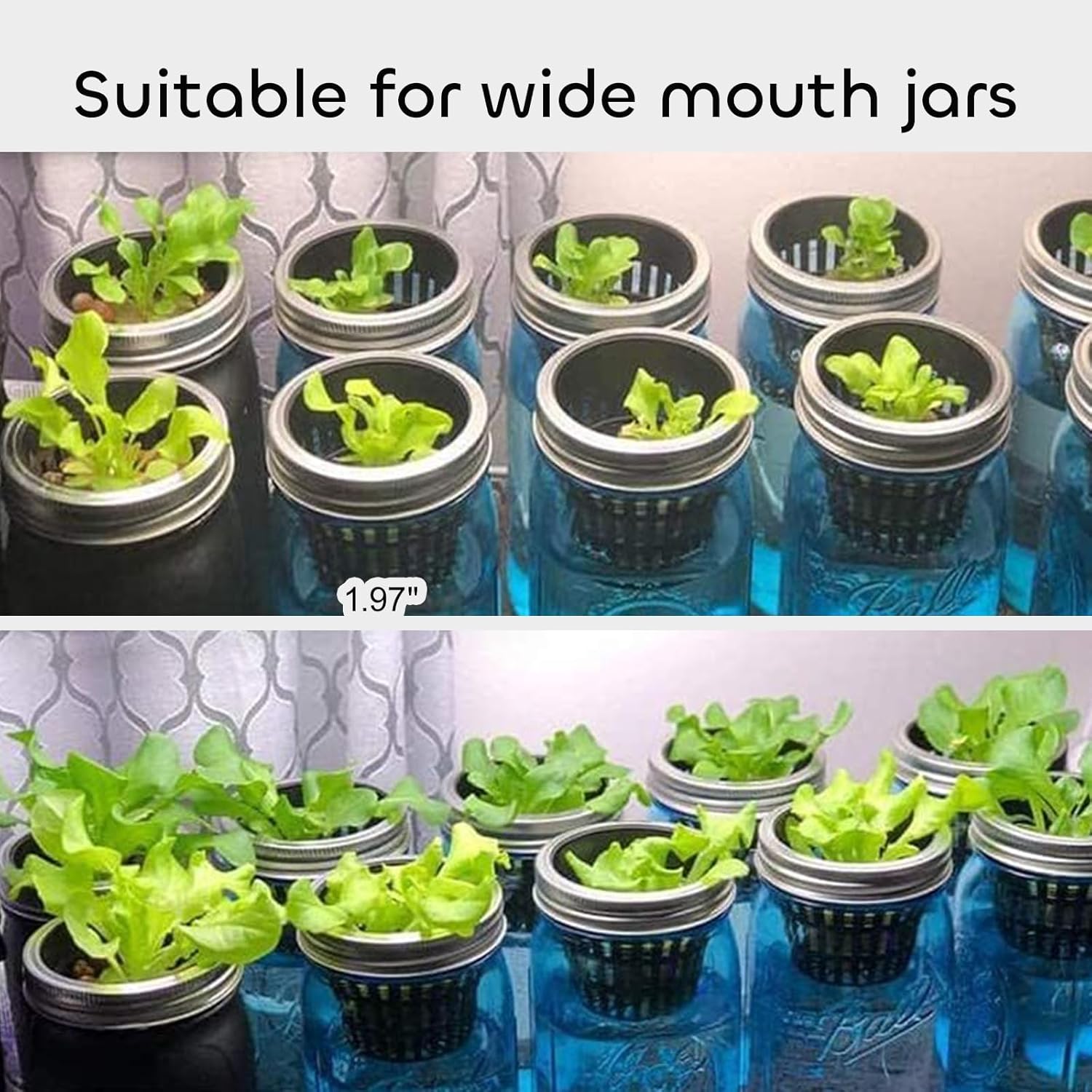 GROWNEER Net Pots in Wide Mouth Jars