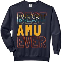 Best Amu Ever Iranian Uncle Love From Nephew Niece Retro Comfort Colors Adult Sweatshirt