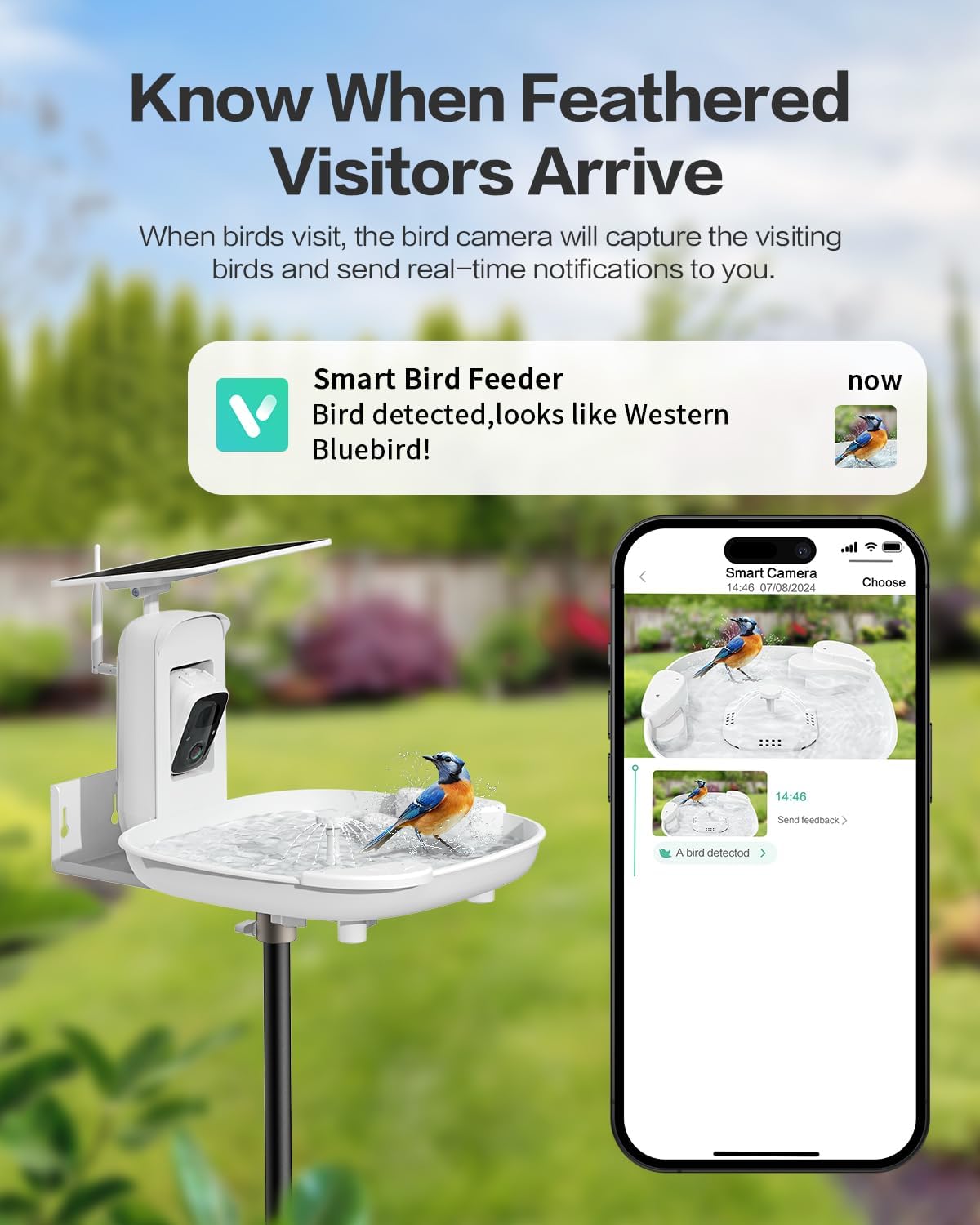 Bird Bath with Camera, Automatic Water Flowing, 2K Bird Camera Captures Bird Activity, Arrival Alerts, Smart AI Identifies Species, Live Video, Solar-Powered, Unheated—Enjoy Watching Birds
