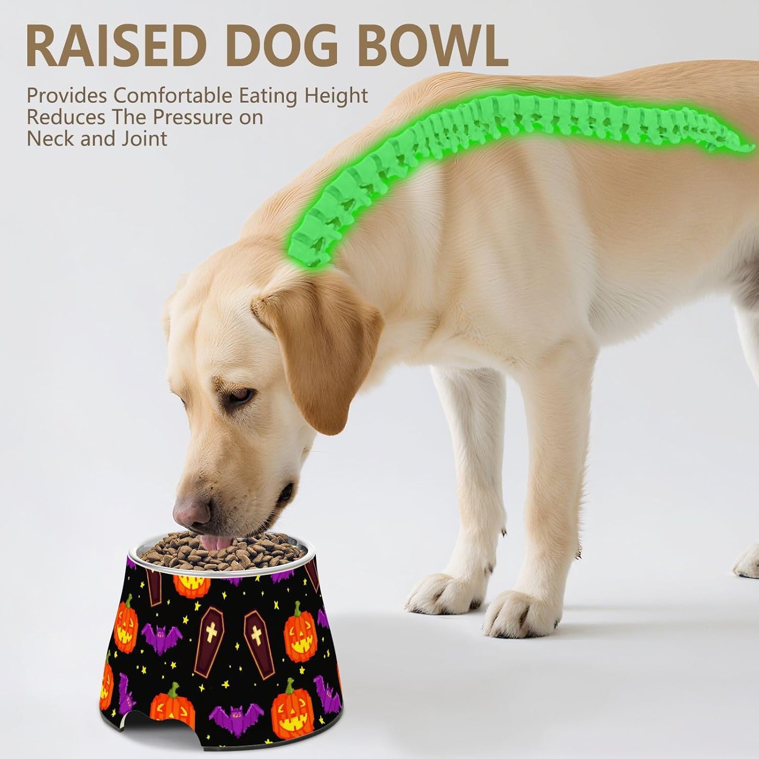 Pumpkin Coffin Bats Halloween Pet Bowl Elevated Dog Bowls with Stainless Steel, Raised Dog Bowl for Comfortable Feeding and Easy Cleaning, for Pets.23300645