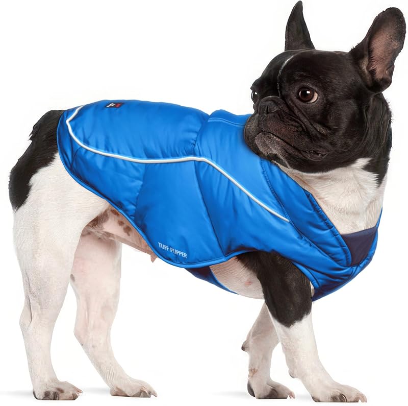 Tuff Pupper Insulated Winter Dog Coat | Waterproof Against Snow & Rain | Premium Padded Cold Weather Jacket | Reflective for Safety | Zipper Opening for Harness | Adjustable Sizing (Blue/S)