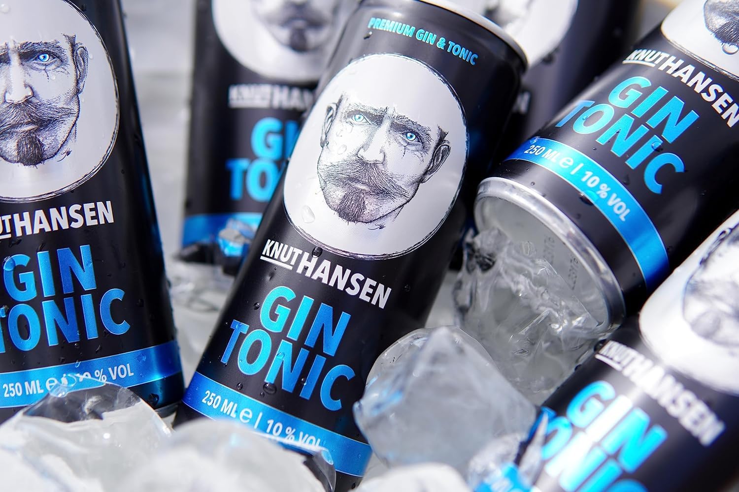 KNUT HANSEN GIN TONIC 10% vol. 12 x 250ml Dose Erfrischend trinkfertig