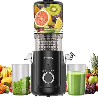 Cold Press Juicer Machines, 5.3” Large Feed Chute Slow Masticating Juice...