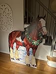 Review Image by Amazon Reviewer