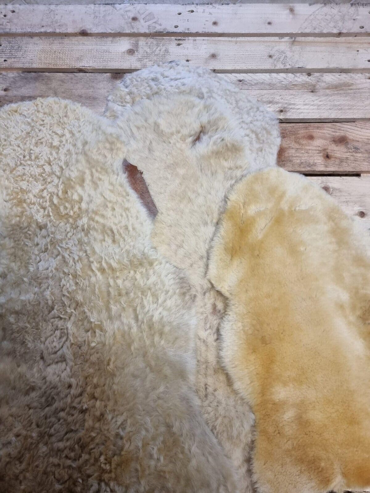 Echtes Schaffell Lammfell Schaffelle Lammfelle Fell Hell 2.Wahl Schnäppchen (90cm lang)