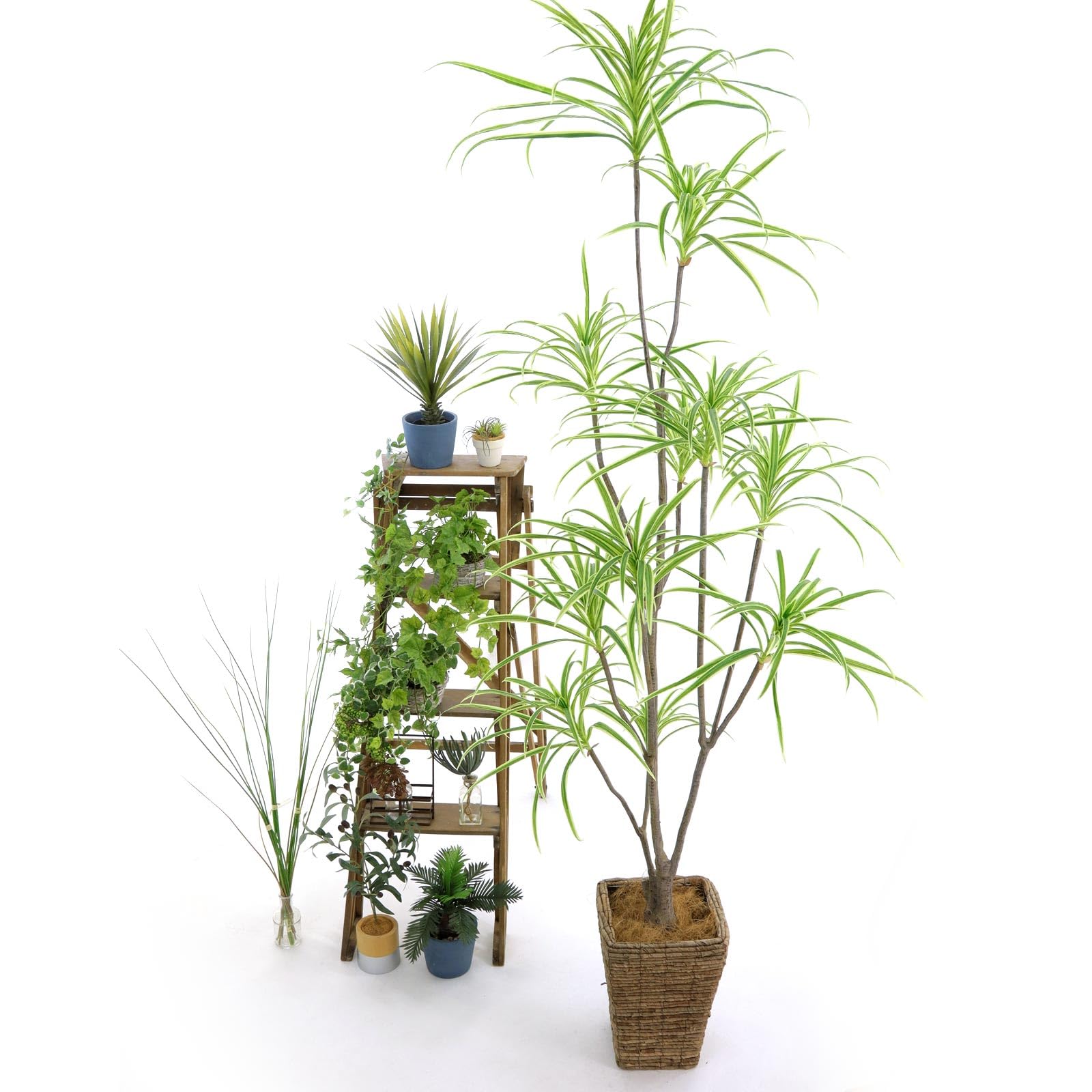 Amazon｜公式｜造花ドットコム 光触媒 フェイクグリーン 造花 観葉植物 