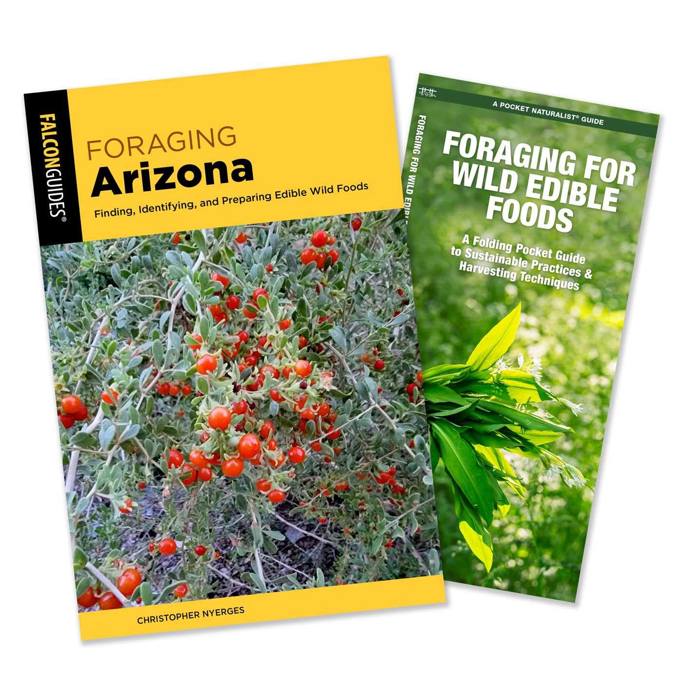Foraging Arizona Guidebook and Folding Pocket Guide Bundle: Finding, Identifying, and Preparing Edible Wild Foods in Arizona