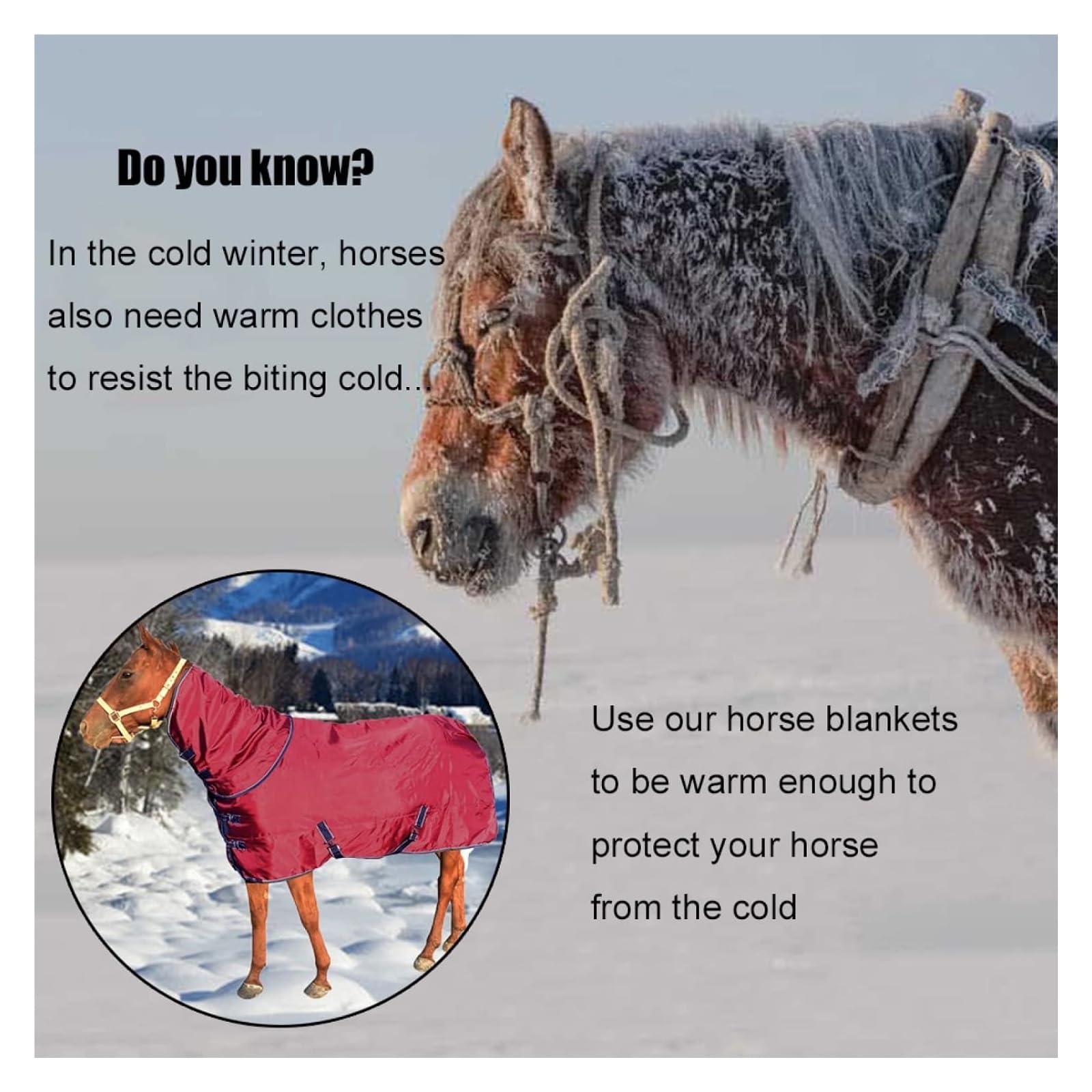 Manta de invierno ligera y transpirable Manta de caballo impermeable de invierno roja, funda de cuello extraíble que envuelve la manta for mantener la ropa de caballo abrigada(135cm/53in)
