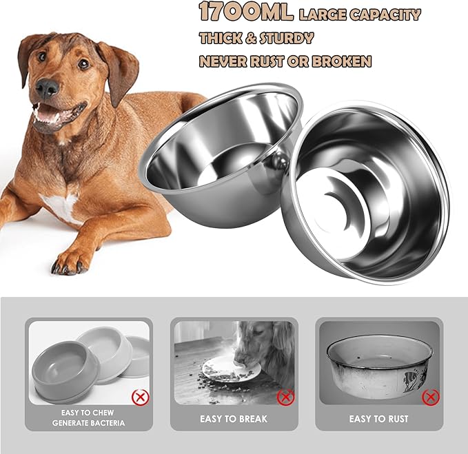 Comedero Elevado para Perro Metal con Plato Acero Inoxidable miniatura 5