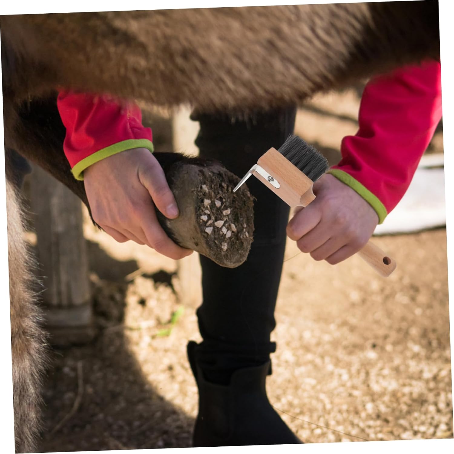 Toddmomy Cattle Horse Hoof Brush with Durable Handle Essential Tool for Grooming Trimming and Cleaning Horseshoes for Better Riding Experience