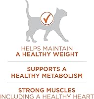 Vista 3 de Purina ONE Alto en Proteína, Fórmula Saludable Plus Ideal con Pollo, Alimento Seco para Gatos, Fórmula de Control - Bolsa de 7 lb