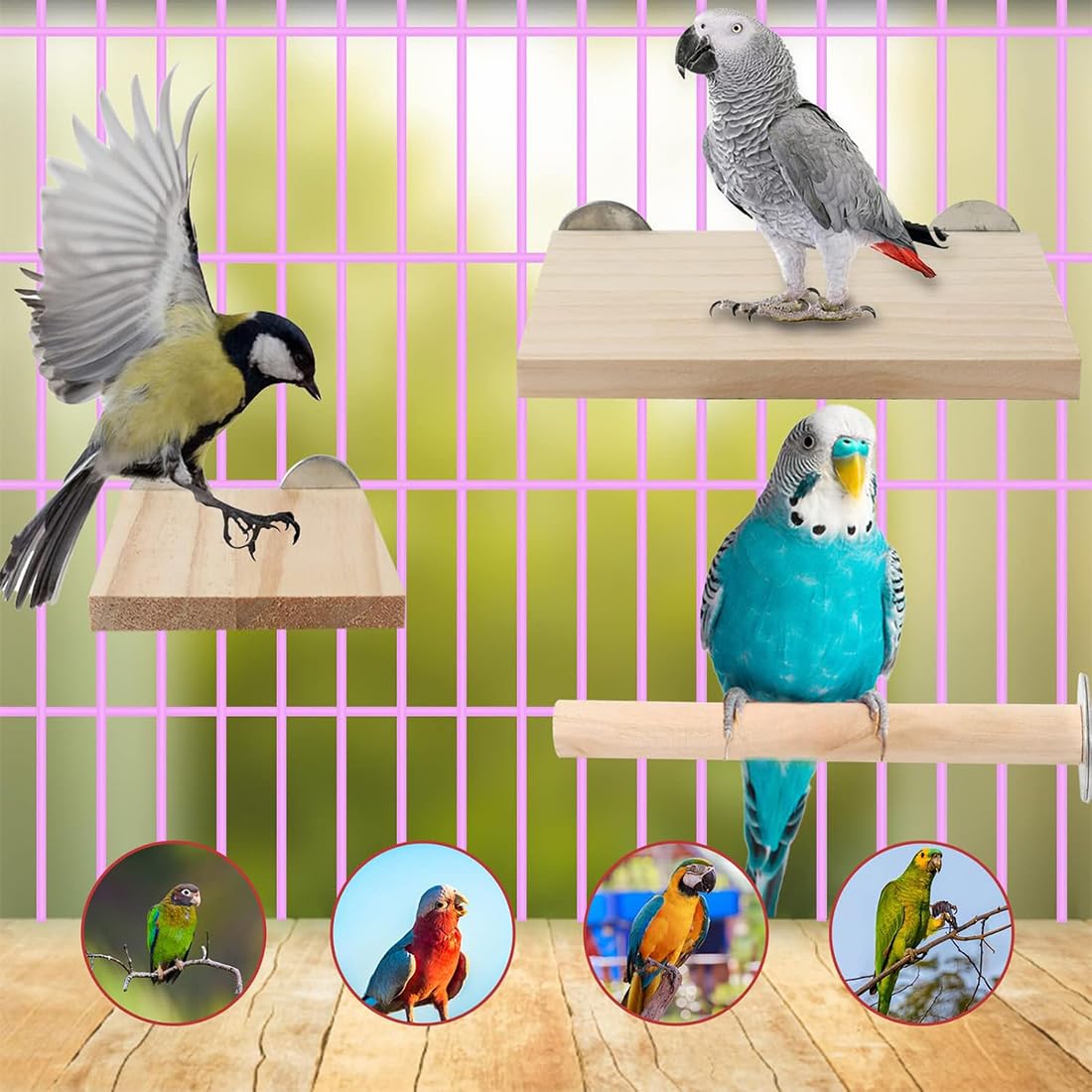 6 Pezzi Posatoio per Pappagalli, Posatoi in Legno di Uccelli, Giochi per Giocattoli per Pappagalli Accessorio per Gabbia per Uccelli per Cacatua, Parrocchetto